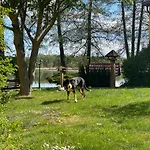 Seehof Netzen 3*
