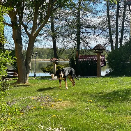 Seehof Netzen 3*